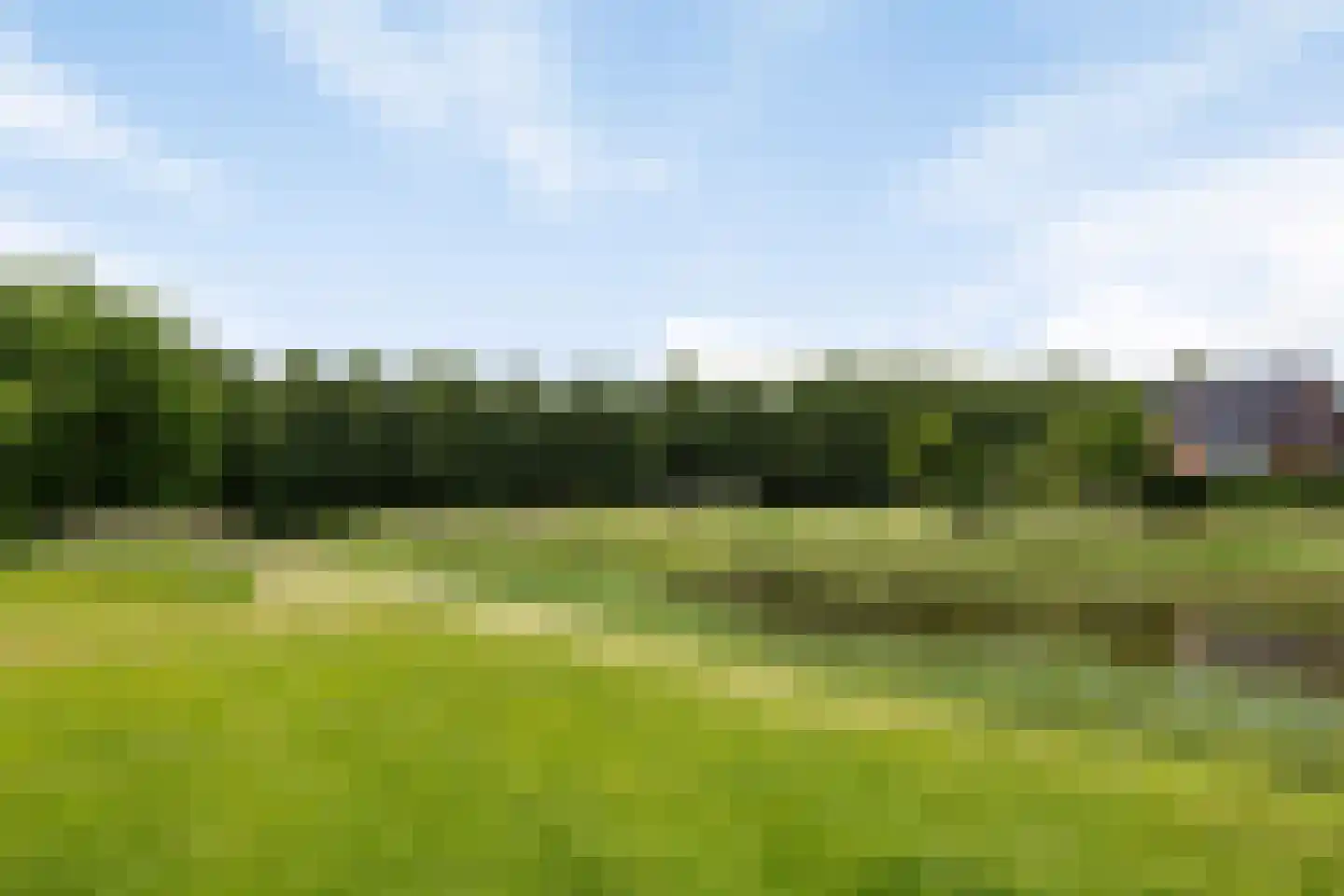 Spurrie 13 Beilen thumbnail 50