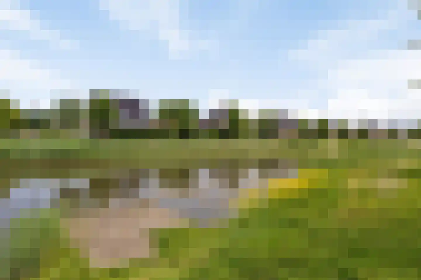 Spurrie 13 Beilen thumbnail 51