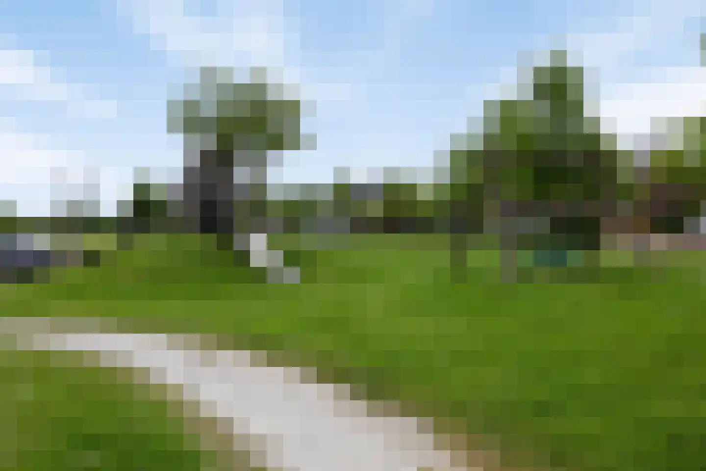 Spurrie 13 Beilen thumbnail 52