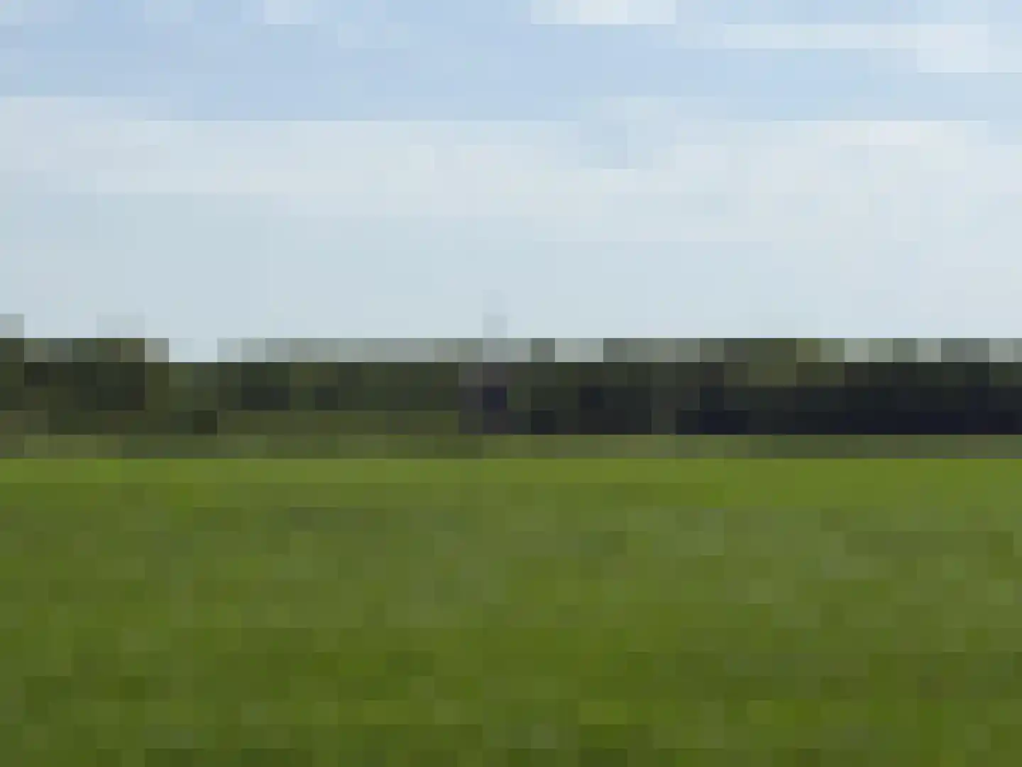 Spurrie 13 Beilen thumbnail 54