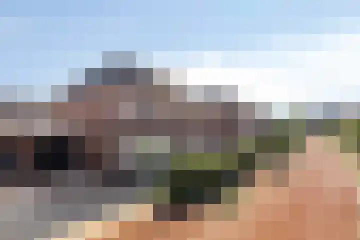 Spurrie 25 in Beilen