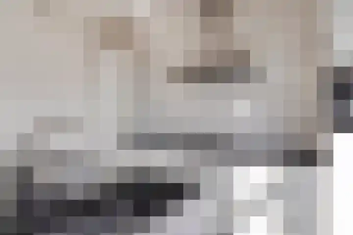 Spurrie 25 Beilen thumbnail 10
