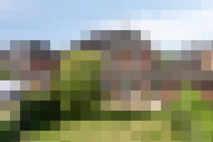 Spurrie 25 Beilen thumbnail 12