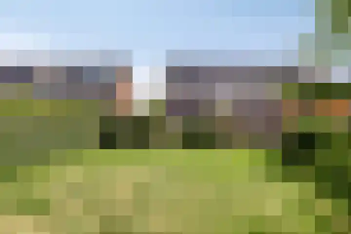 Spurrie 25 Beilen thumbnail 13