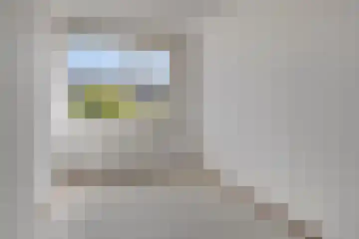 Spurrie 25 Beilen thumbnail 16