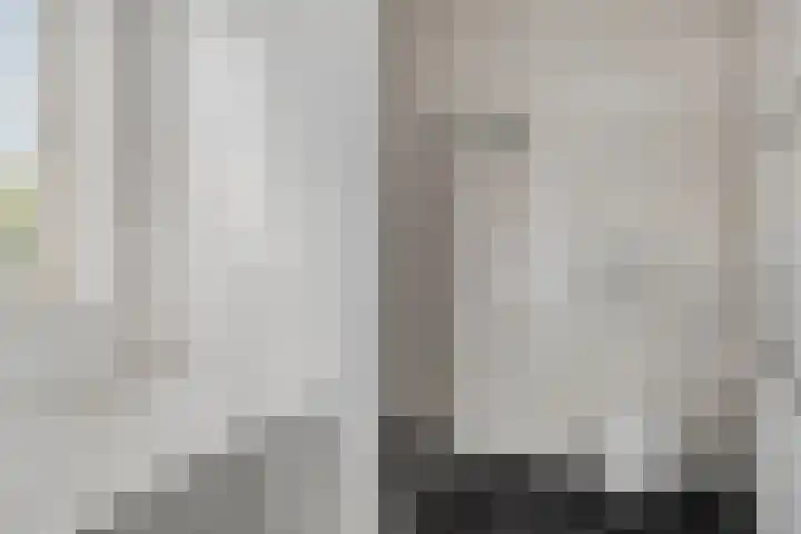Spurrie 25 Beilen thumbnail 19
