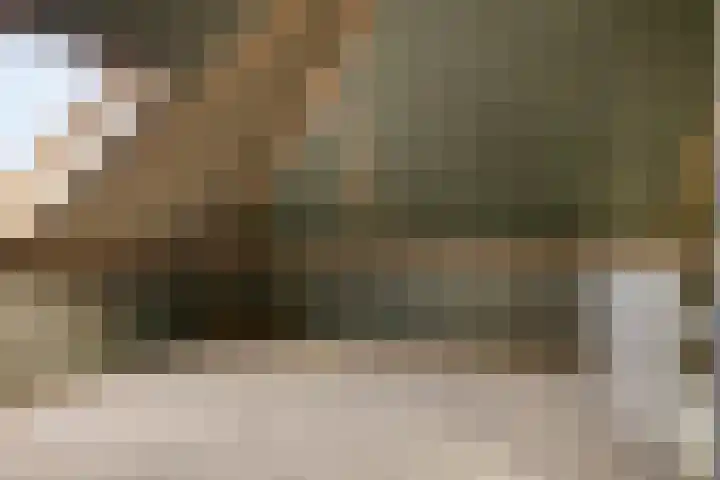 Spurrie 25 Beilen thumbnail 20