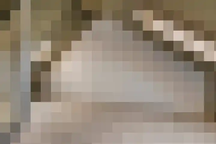 Spurrie 25 Beilen thumbnail 21