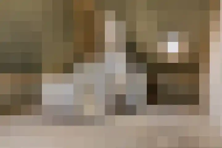 Spurrie 25 Beilen thumbnail 22