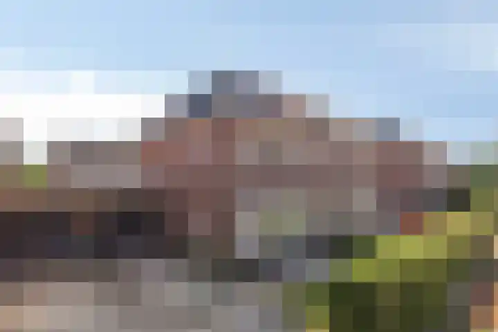 Spurrie 25 Beilen thumbnail 23