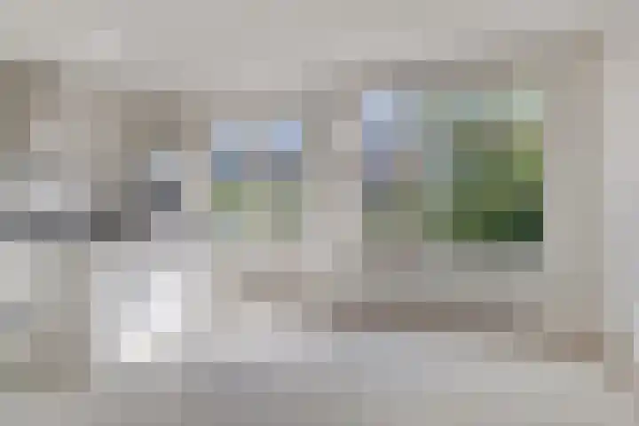 Spurrie 25 Beilen thumbnail 8