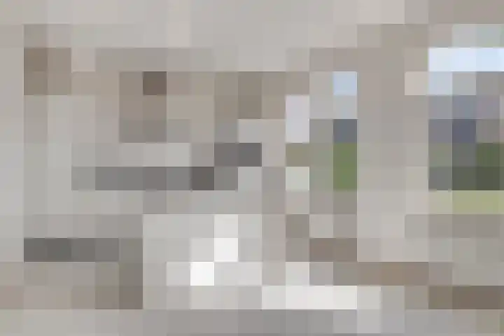 Spurrie 25 Beilen thumbnail 9