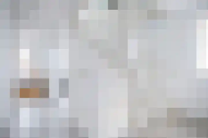 Spurrie 36 Beilen thumbnail 22