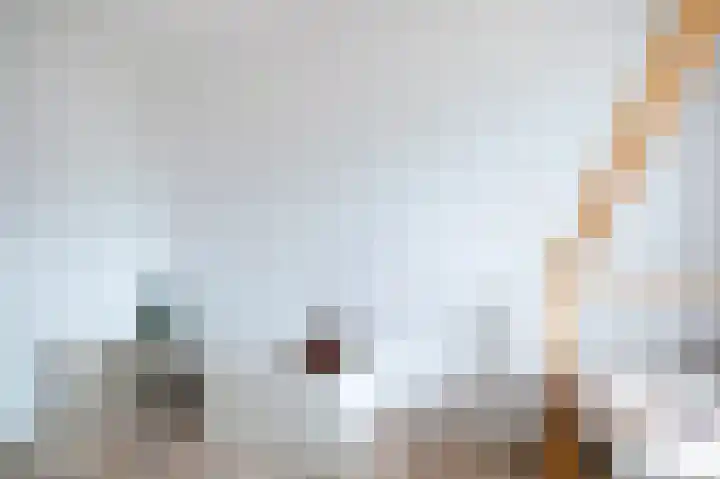 Spurrie 36 Beilen thumbnail 24