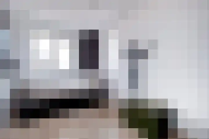 Spurrie 36 Beilen thumbnail 25