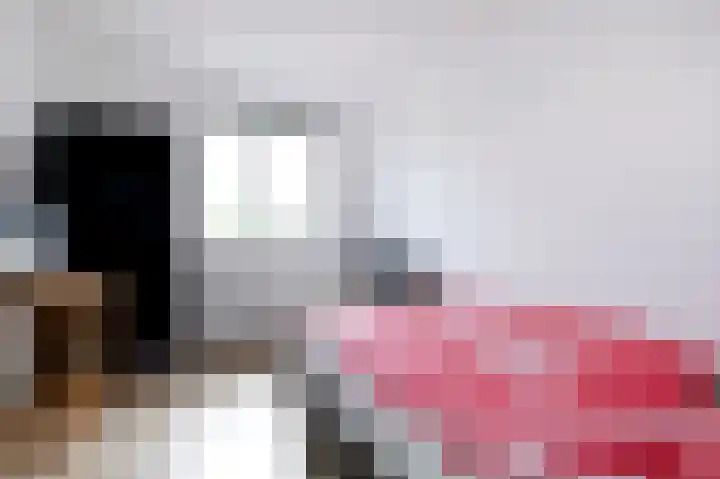 Spurrie 36 Beilen thumbnail 26
