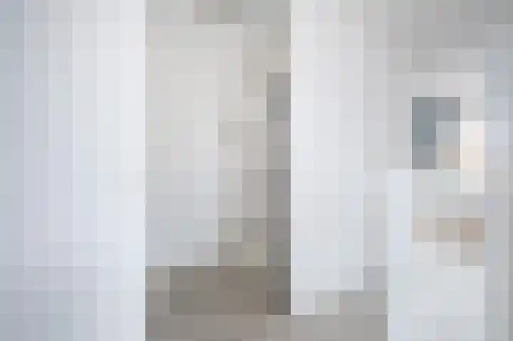 Spurrie 36 Beilen thumbnail 28