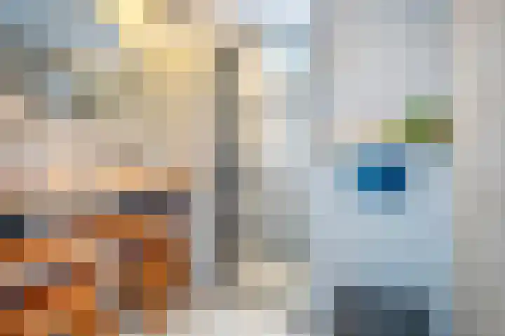 Spurrie 36 Beilen thumbnail 29