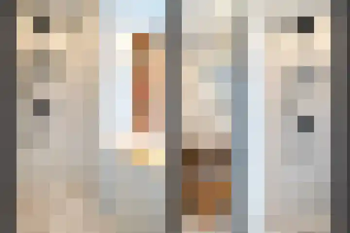 Spurrie 36 Beilen thumbnail 33