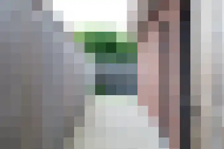 Spurrie 36 Beilen thumbnail 41