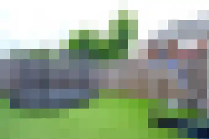Spurrie 36 Beilen thumbnail 44