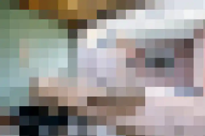 Spurrie 36 Beilen thumbnail 50