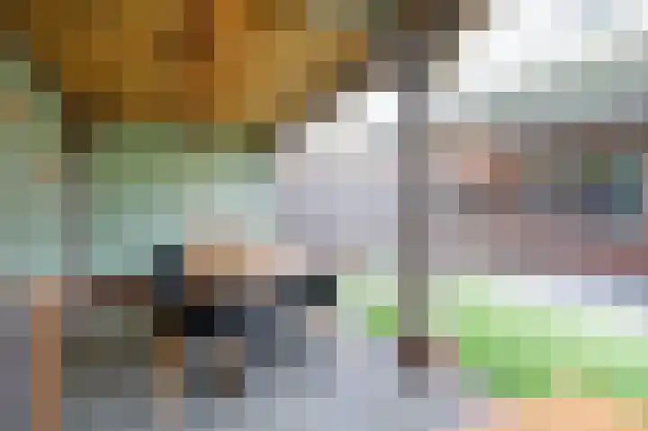 Spurrie 36 Beilen thumbnail 52