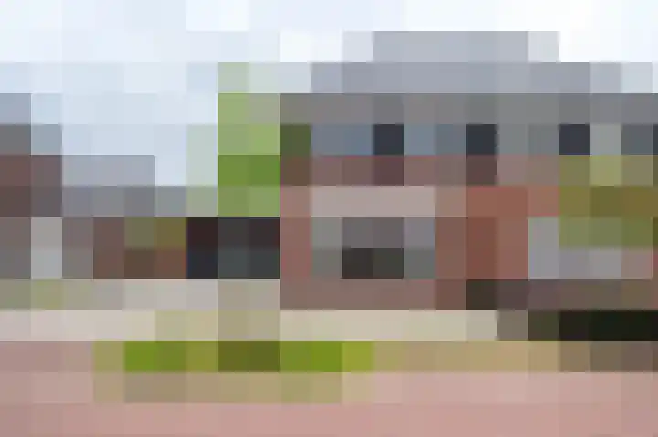Spurrie 36 Beilen thumbnail 57