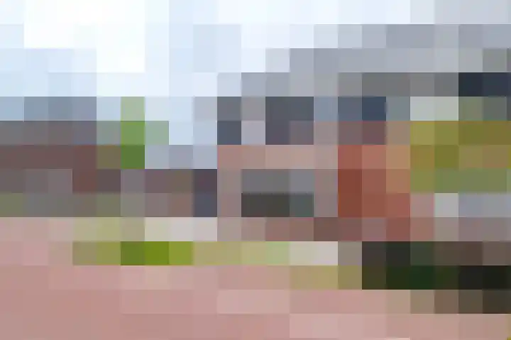 Spurrie 36 Beilen thumbnail 58
