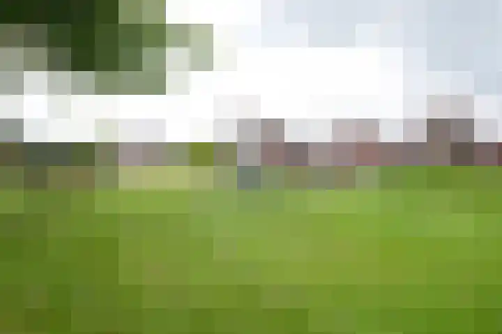 Spurrie 36 Beilen thumbnail 59