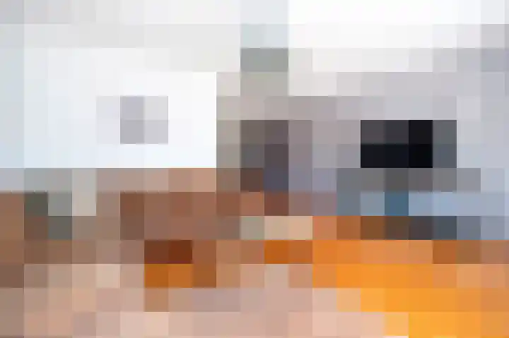 Spurrie 36 Beilen thumbnail 6