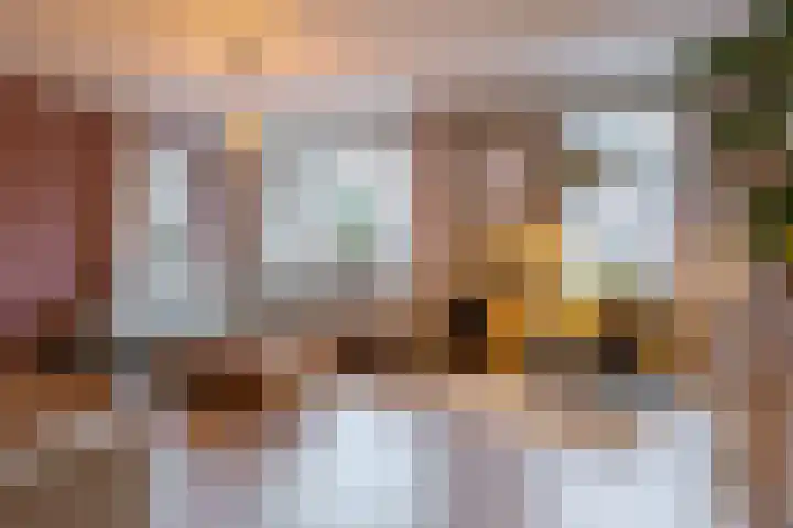 Spurrie 7 Beilen thumbnail 10