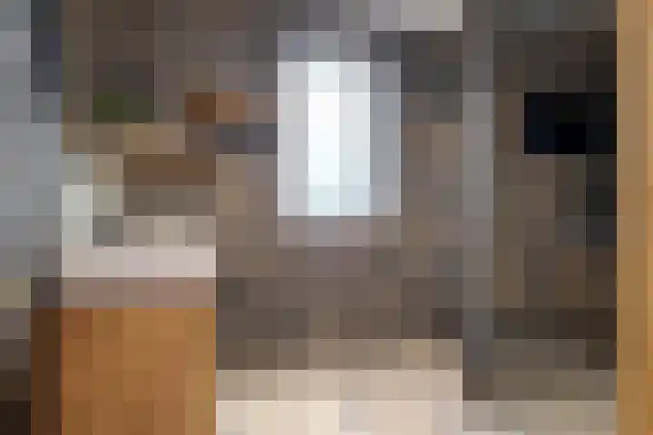 Spurrie 7 Beilen thumbnail 36