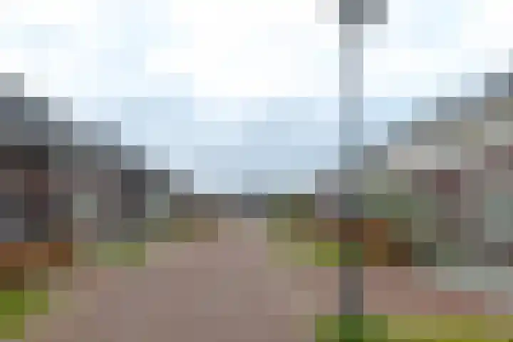 Spurrie 7 Beilen thumbnail 4