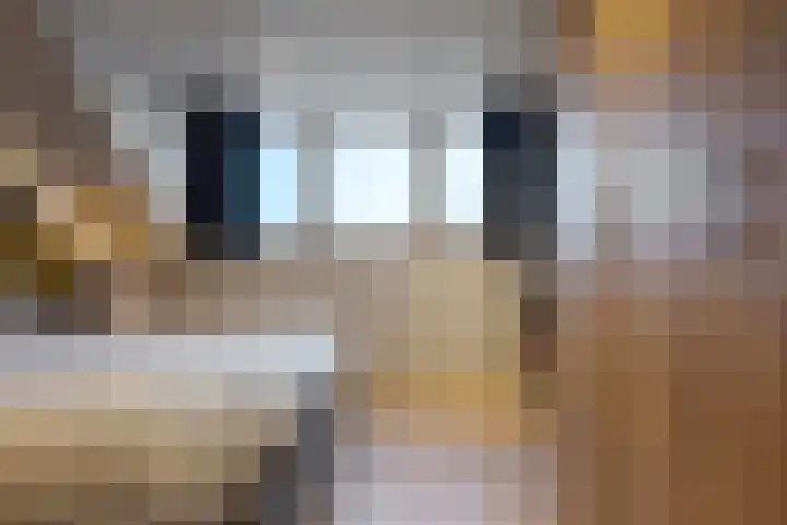 Spurrie 7 Beilen thumbnail 42