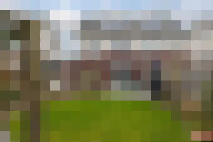 Spurrie 7 Beilen thumbnail 44