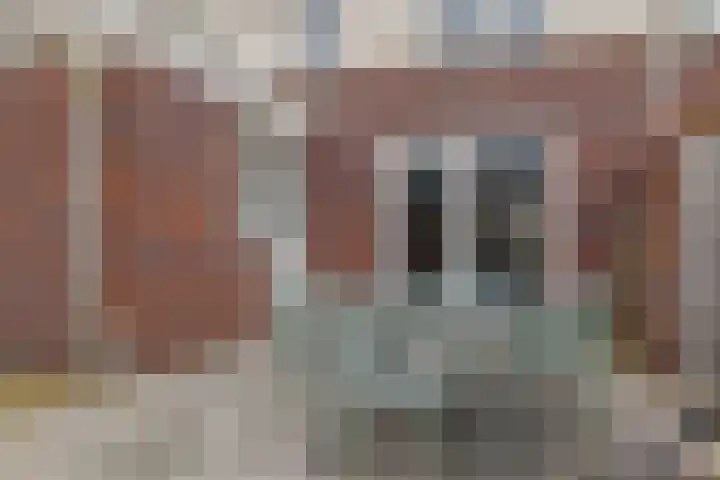 Spurrie 7 Beilen thumbnail 47