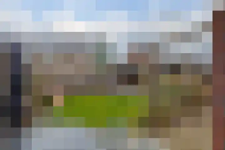 Spurrie 7 Beilen thumbnail 48