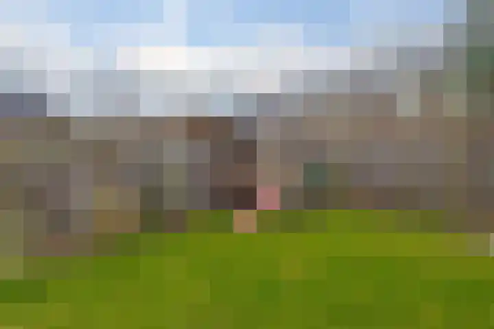 Spurrie 7 Beilen thumbnail 49