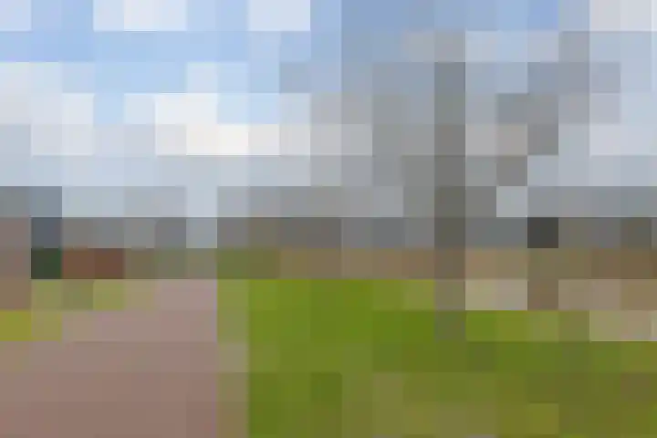 Spurrie 7 Beilen thumbnail 5