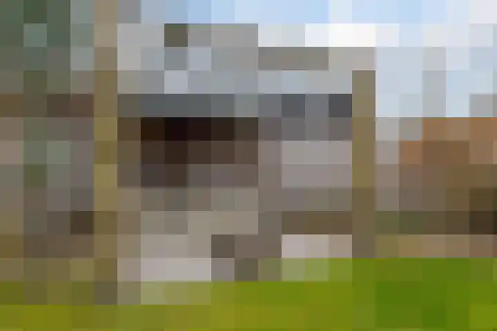Spurrie 7 Beilen thumbnail 50