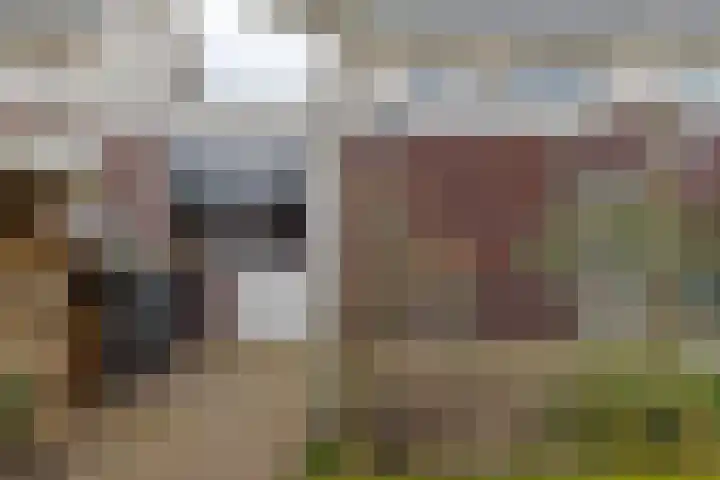Spurrie 7 Beilen thumbnail 51