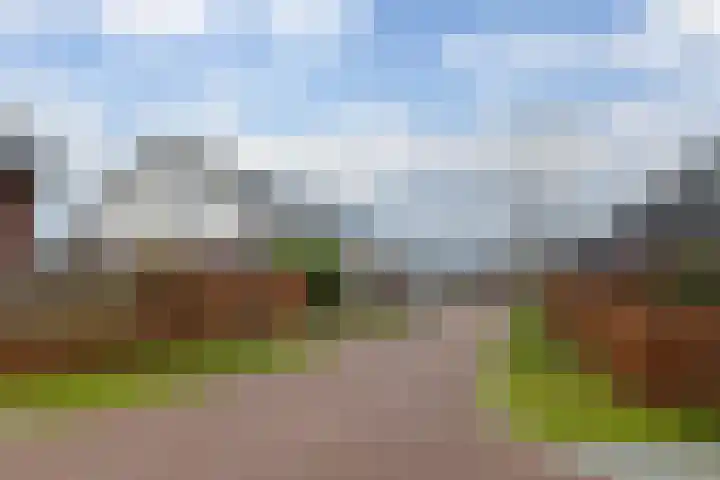 Spurrie 7 Beilen thumbnail 52