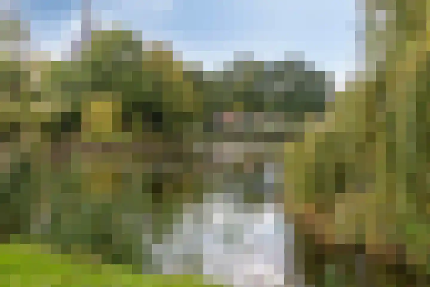 Spyridon Louisweg 112 Amsterdam thumbnail 42