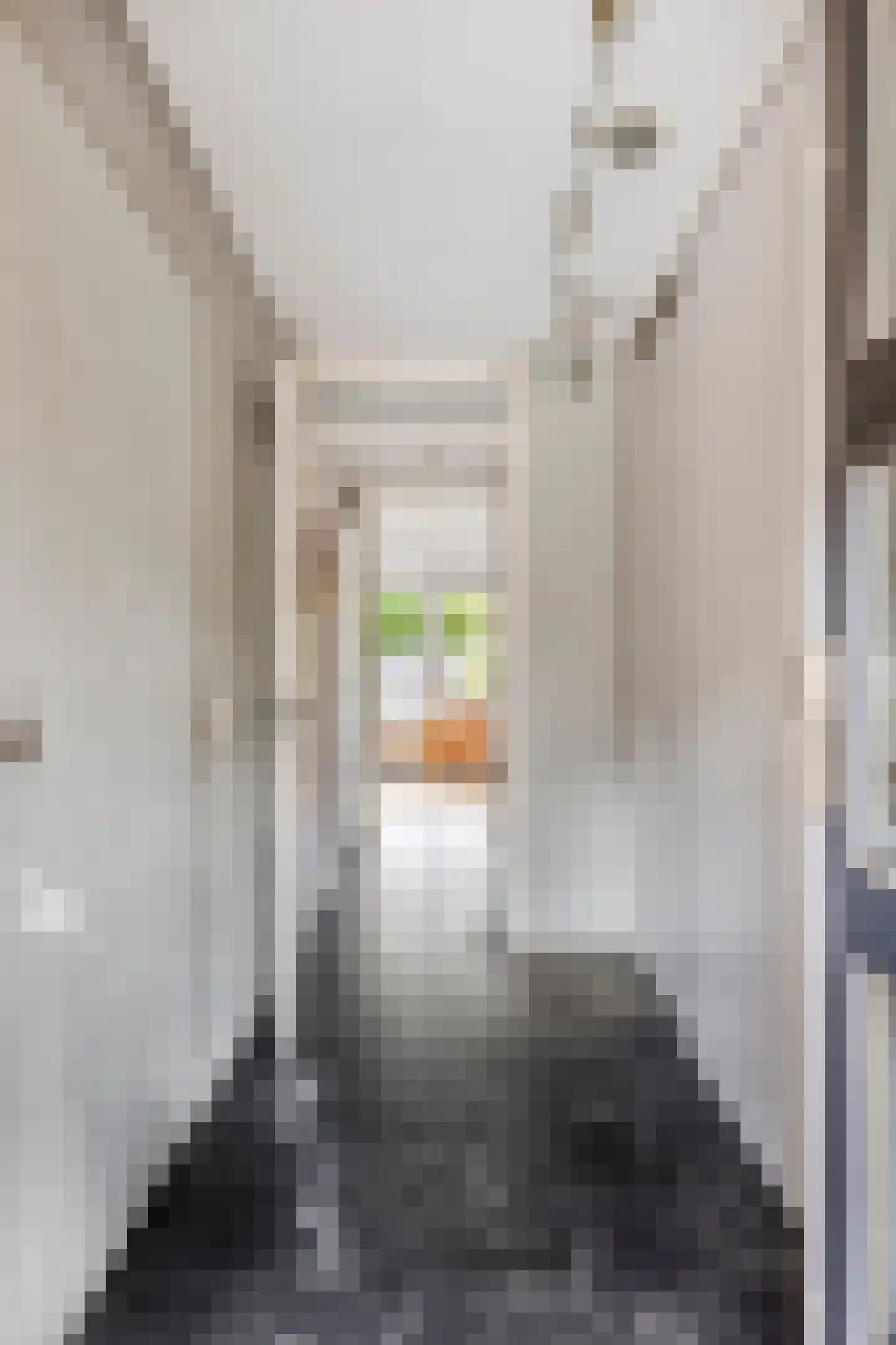 Spyridon Louisweg 112 Amsterdam thumbnail 6