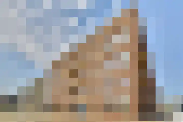 Srefidensiplein 10 Amsterdam thumbnail 4