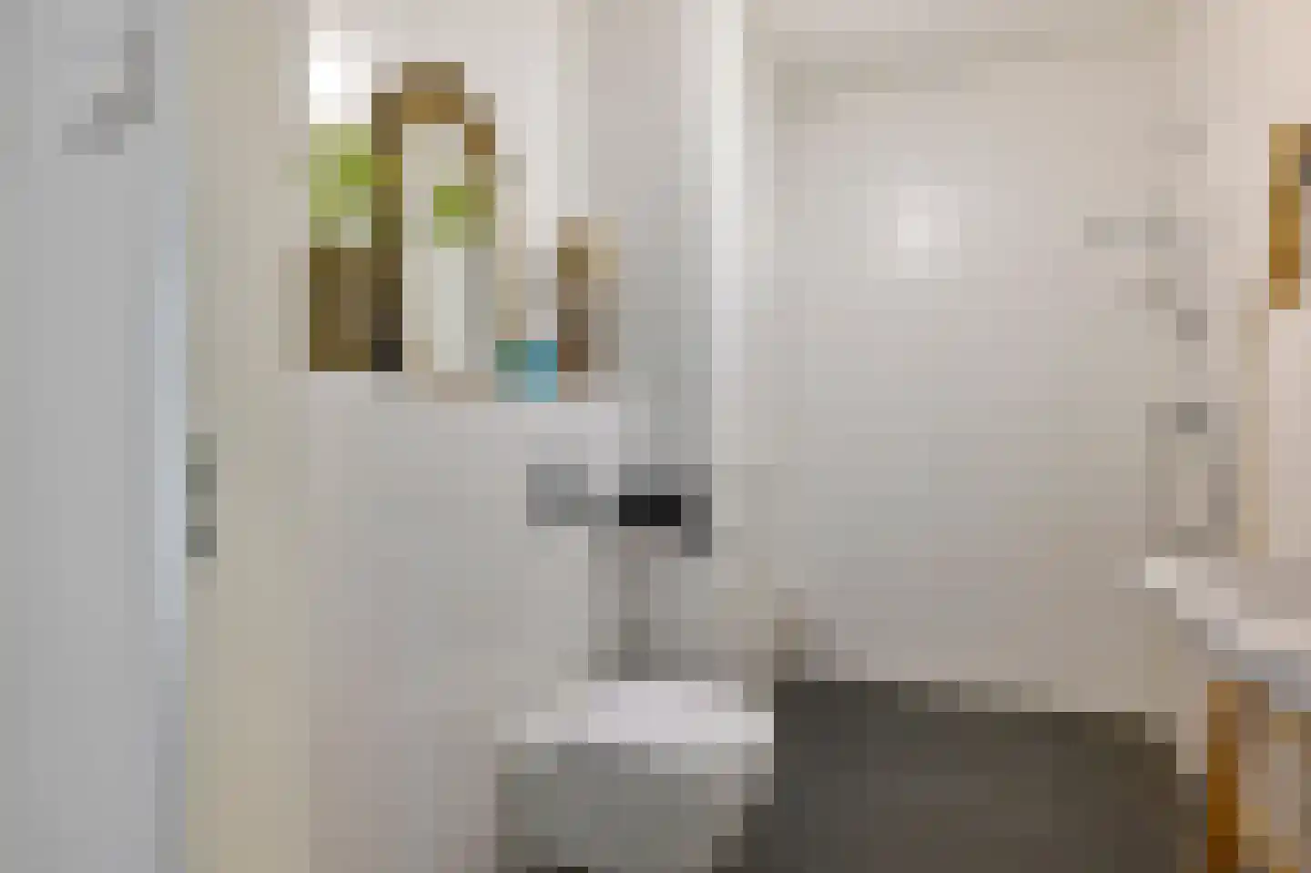 Srefidensiplein 224 Amsterdam thumbnail 16