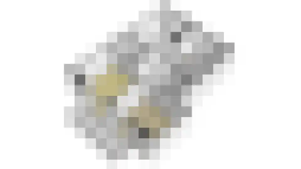 Srefidensiplein 224 Amsterdam thumbnail 41