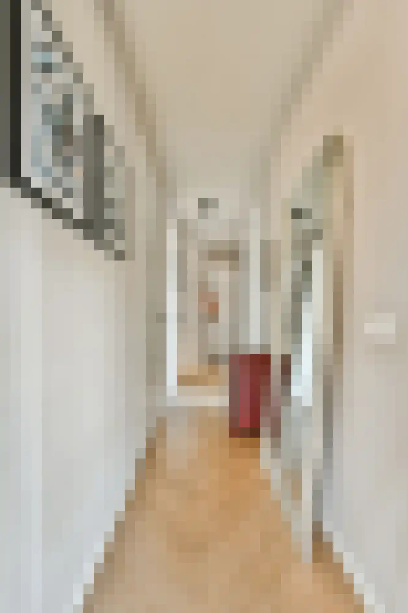 Srefidensiplein 226 Amsterdam thumbnail 19