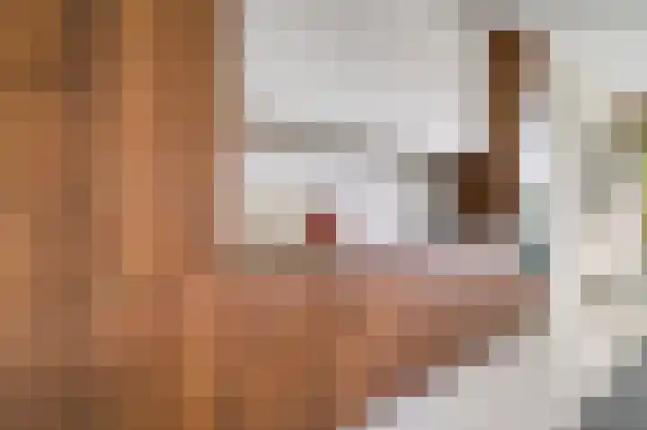 Srefidensiplein 232 Amsterdam thumbnail 10